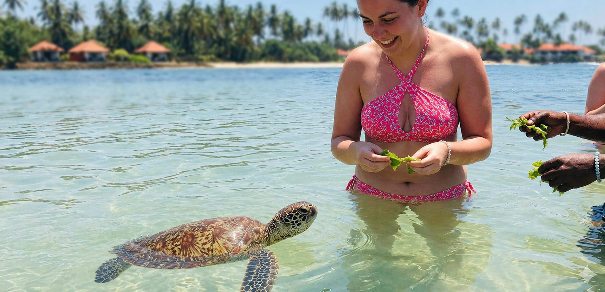 Ceylon Tours - Tangalle